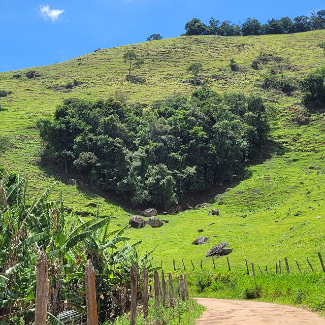Diferencial de Consciência e respeito ao caminho