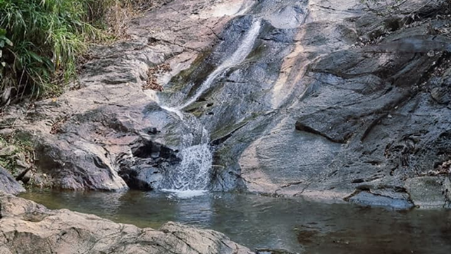 Roteiro Passos de Padre Léo